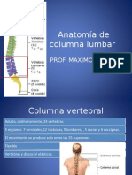 anatomadecolumnalumbar-120327173343-phpapp01