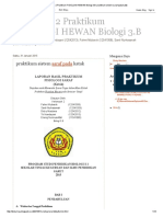 Kelompok 2 Praktikum FISIOLOGI HEWAN Biologi 3 PDF