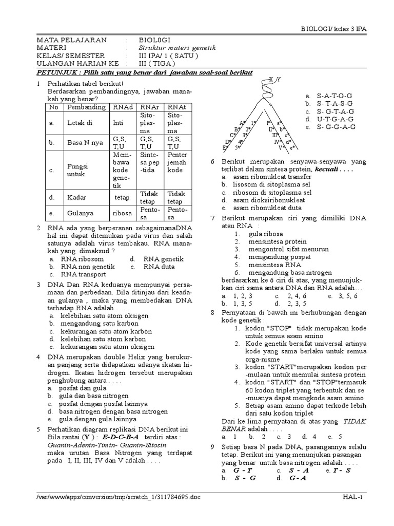 Soal Sintesis Protein Kelas 12 | PDF