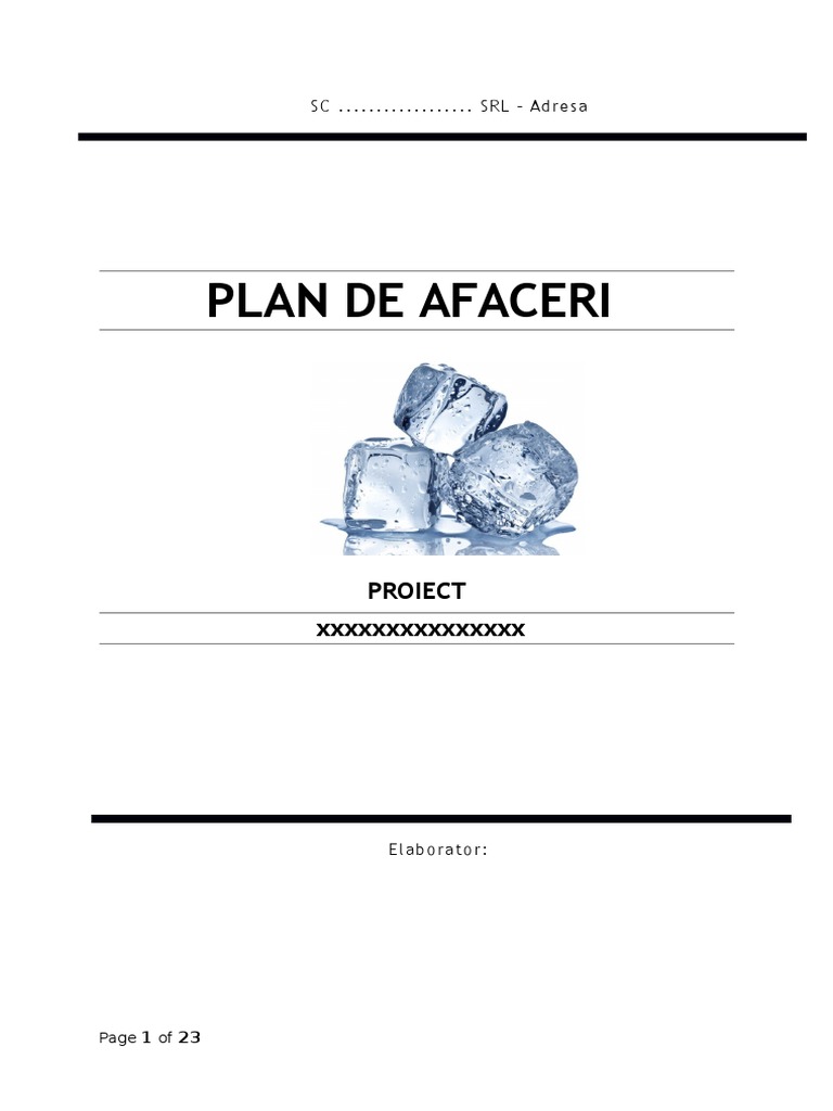 Model Plan De Afaceri Final Por 2 1