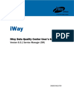 Iway Data Quality Center User's Guide