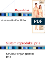 Sistem Reproduksi