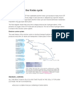 Glycolysis and the Krebs Cycle