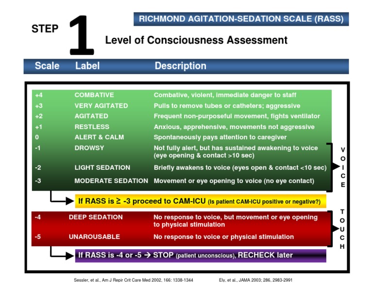 RASS: Level of Consciousness Assessment | PDF | Science & Mathematics