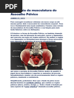 Anatomia da musculatura do Assoalho.doc