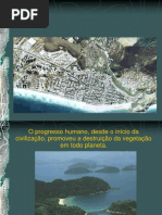 Histórico Das Áreas Verdes