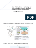 Miro1 Regulates MT Trafficking