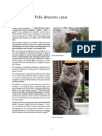 Felis Silvestris Catus PDF