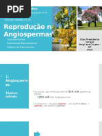 Reprodução nas Angiospermas.pptx