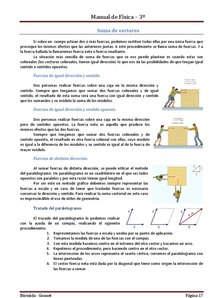 Suma de Fuerzas Colineales en Física | PDF | Fuerza | Vector Euclidiano