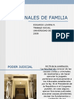 tribunalesdefamilia2010-100715151240-phpapp02