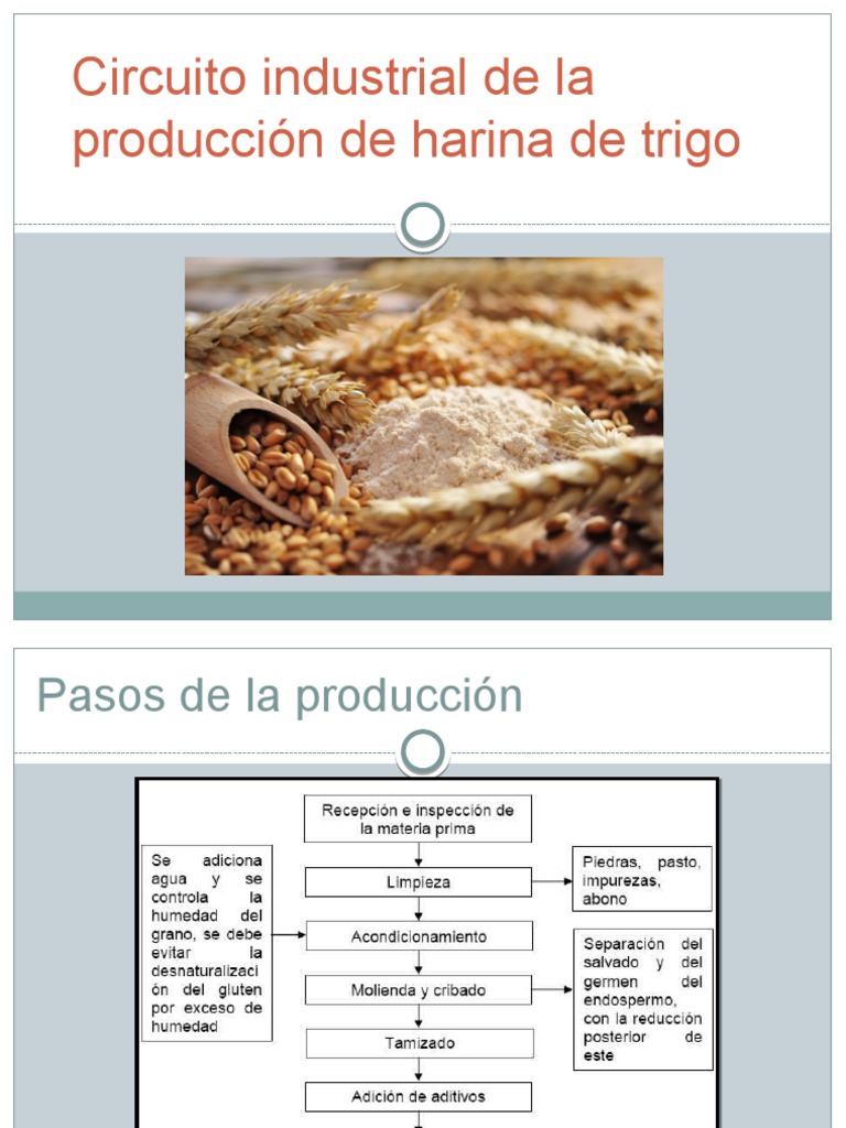 Circuito Productivo de Harina | PDF | Trigo | Salvado