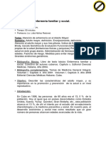 adulto_mayor.pdf