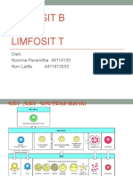 Limfosit b and T y Ppt