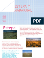 Estepa y Chaparral