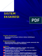 1-Sistem Eksresi