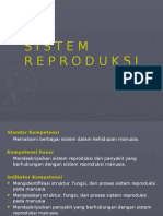 2-Sistem Reproduksi