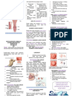 LEAFLET Pap Smear