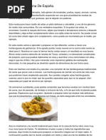 Recetas de Cocina de España.