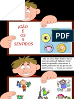 João e Os 5 Sentidos