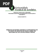 Dissertação_remoção de Matéria Orgânica e Nitrogenada Em Reatores de Leito Estruturado e Móvel