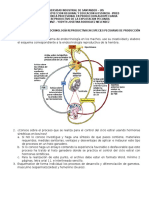 Actividad Guia 2 Endocrinologia Reproductiva