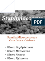 Staphylococcus SPP