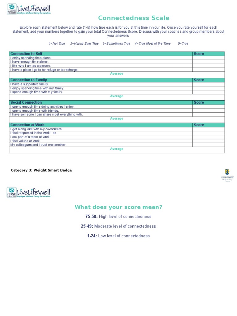Connectedness Scale Assessment Tool | PDF