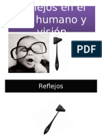 Reflejos en El Ser Humano