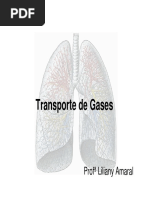 Transporte de Gases