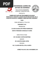 TESIS_LAGUNAS_DE_ESTABILIZACIÓN.pdf