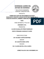 Tesis Lagunas de Estabilización PDF