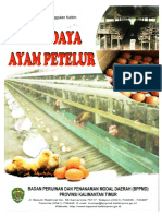 AYAM PETELUR