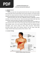 Download Laporan Pendahuluan Tentang Sistem Pencernaan Edit by Yephina Ayu D Sanen SN306653769 doc pdf
