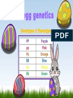 Easter Egg Genetics Slide