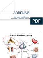 Adrenal