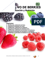 El Cultivo de Berries