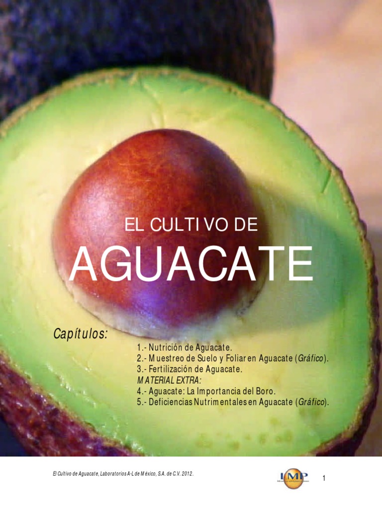 El Cultivo de Aguacate PDF Hoja Aguacate