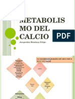 Metabolismo Del Calcio