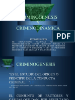 Criminogenesis 1 PDF