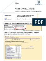 GUÍA - Matricula Linea Paso Paso