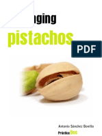 Diseño Packaging Pistachos Antonio Sánchez Bonilla