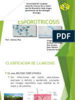 Esporotricosis