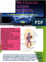 Anatomi Fisiologi Sistem Perkemihan