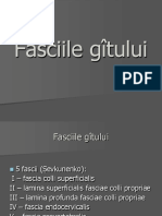 Fasciile_gîtului.pdf