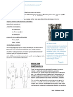 Generalidades de Anatomia