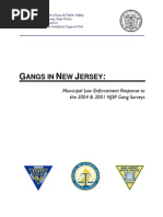 Gangs In New Jersey
