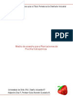Medio de Cosecha para Plantaciones de Frutilla Hidropònica Con Planos Inc PDF