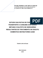 Tese_rotas de Formação, Transporte e Consumo Dos Gases Metano e Sulfeto de Hidrogênio Em Reatores Uasb