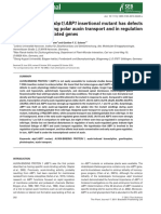 Paper 3-The Heterozygous abp1ABP1 Insertional Mutant Has Defects in Functions Requiring Polar Auxin Transport and in Regulation of PDF